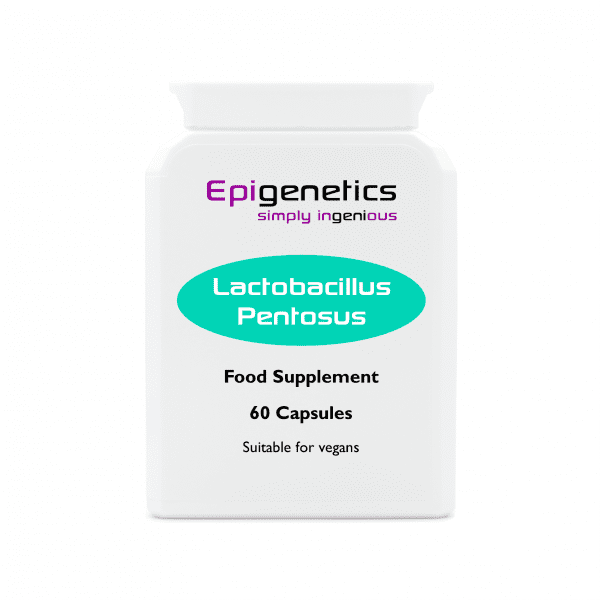 Lactobacillus Pentosus