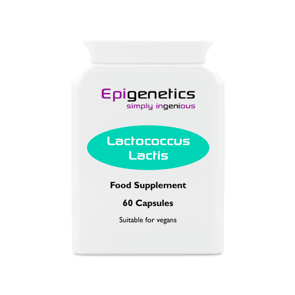 Lactococcus Lactis